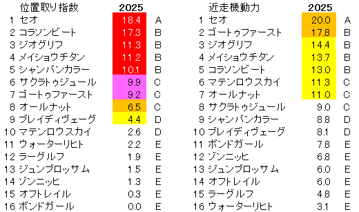 2025　東京新聞杯　位置取り指数